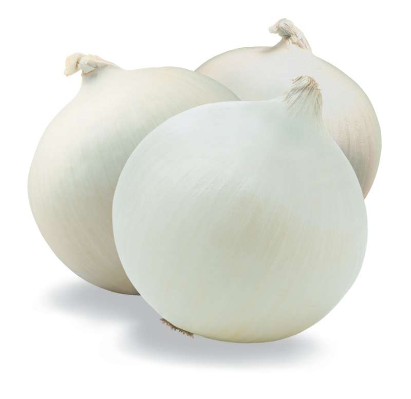 Crystal White Wax Pickling Onion - Heirloom Vegetable - 20 Seeds