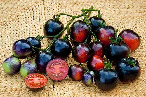 Indigo Rose Tomato - Bulk Vegetable Seeds - 100 seeds