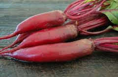 Cylindra Beetroot - Heirloom Vegetable - 50 Seeds