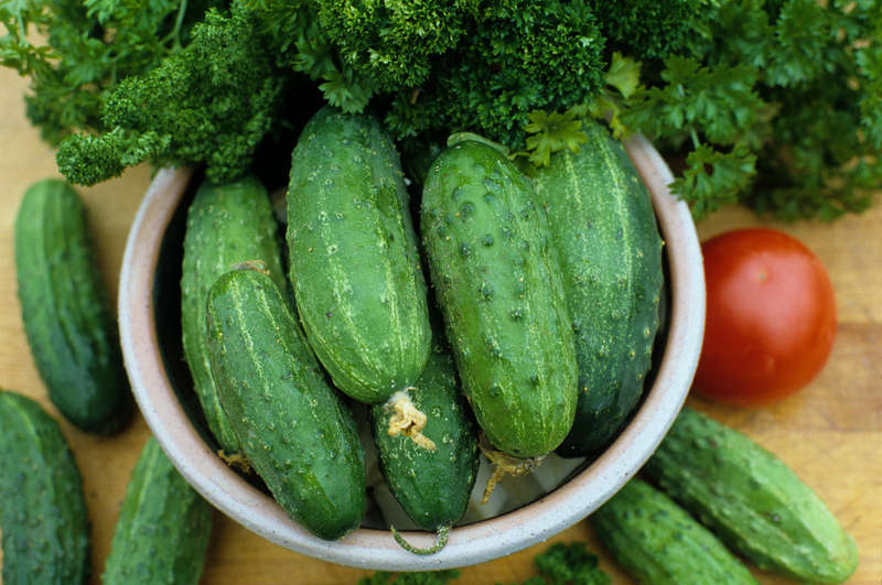 Marketmore 76 Cucumber - Bulk Vegetable Seeds - 100 grams
