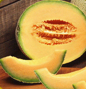 Iroquois Melon -  Heirloom Fruit - Cucumis Melo - 20 Seeds