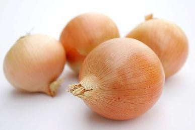 Sweet Yellow Spanish Onion - Heirloom - Allium Cepa - Vegetable - 100 Seeds