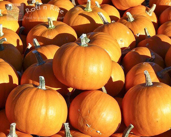 Wee B Little Pumpkin - Rare Heirloom Vegetable - 5 Seeds