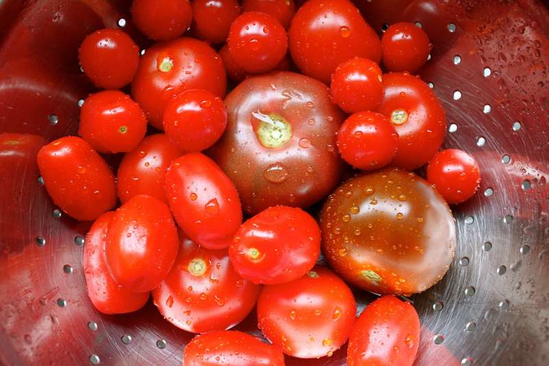 Wedding Favour Seeds - Mixed Tomato Seeds - 20 Packs of 50 Seeds