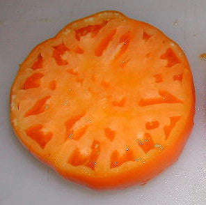 Kelogg's Breakfast Tomato - Solanum lycopersicon - Heirloom Vegetable - 10 Seeds