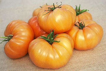 Kelogg's Breakfast Tomato - Solanum lycopersicon - Heirloom Vegetable - 10 Seeds