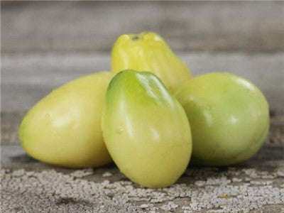 Ivory Egg Tomato - Lycopersicon Esculentum - Vegetables - 10 Seeds - ORGANIC