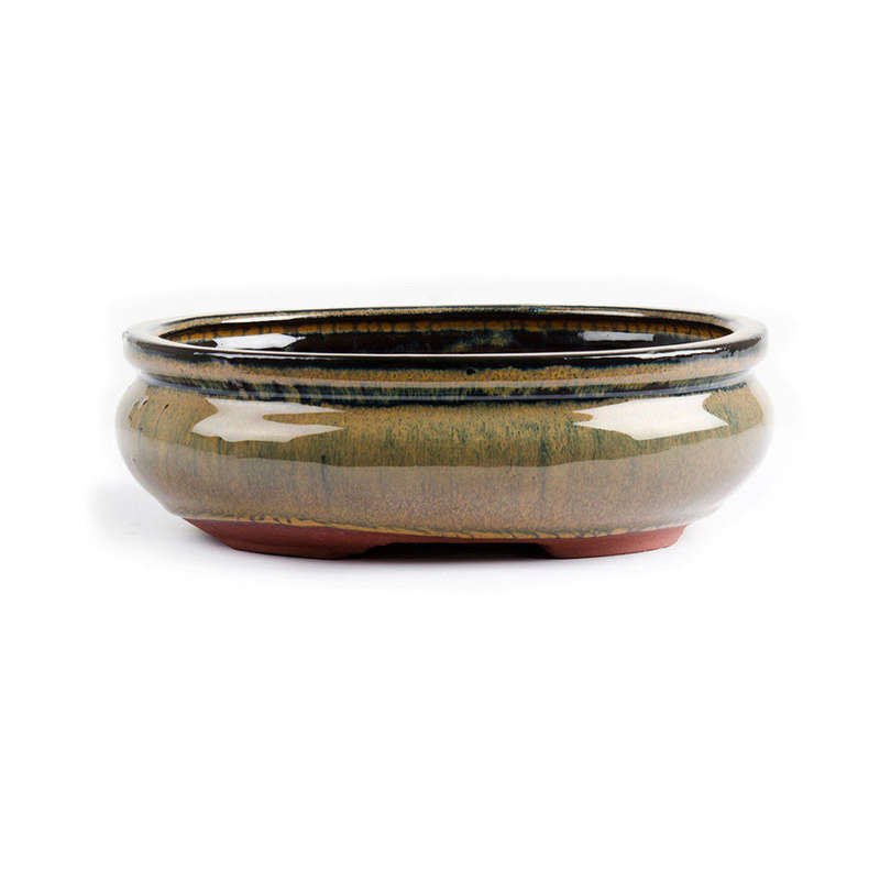 20cm x 16cm x 7cm - Glazed Bonsai Container - Mustard