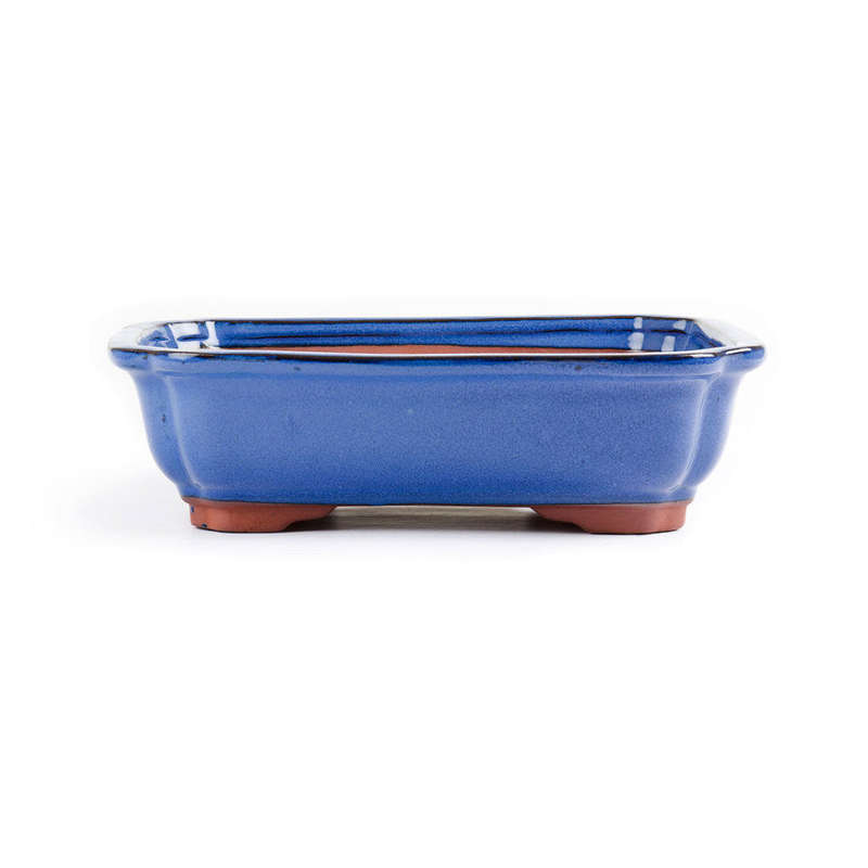 27cm x 21cm x 7cm - Glazed Bonsai Container - Blue