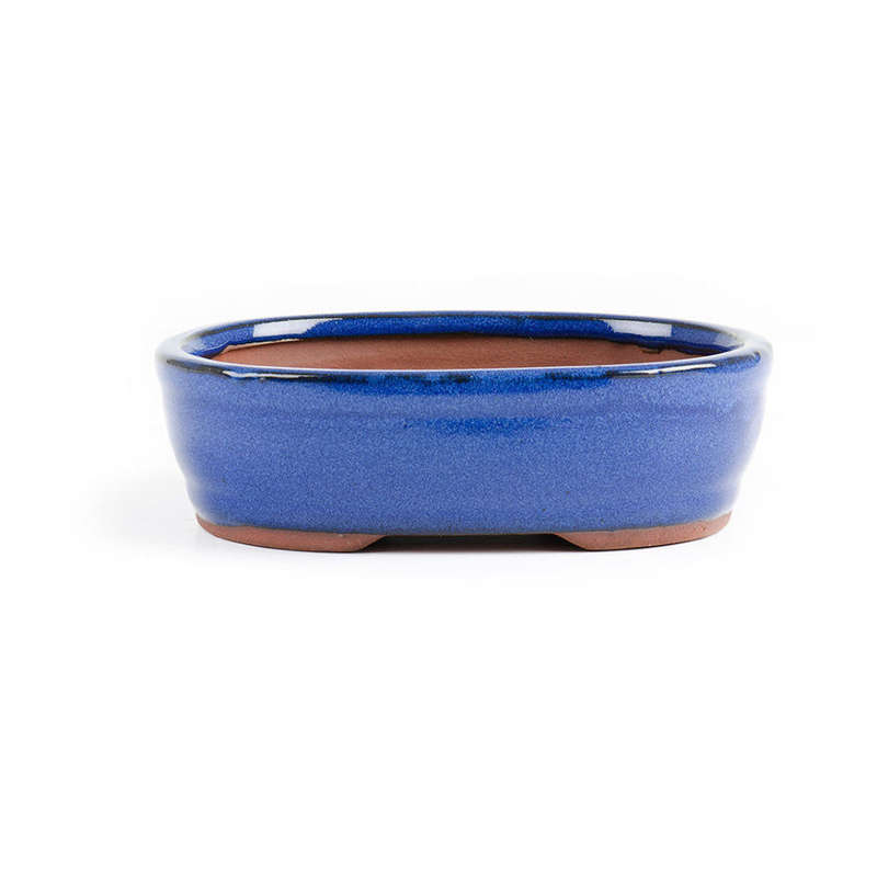 18cm x 14cm x 6cm - Glazed Bonsai Container - Blue