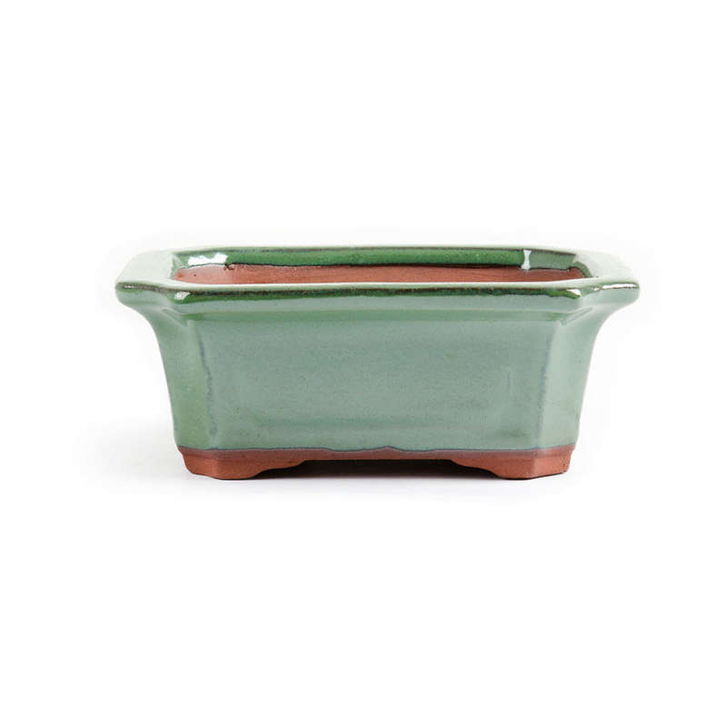 16cm x 12cm x 5.5cm - Glazed Bonsai Container - Forest Green