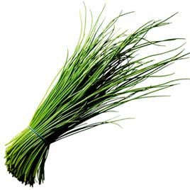 Chives Herb - Allium Schoenoprasum - 100 Seeds