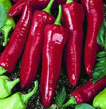Numex Big Jim Chilli Pepper - Capsicum Frutescens - 10 Seeds