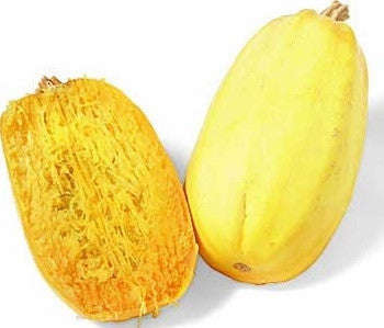 Spaghetti Squash - Vegetable - Cucurbita Pepo - 10 Seeds