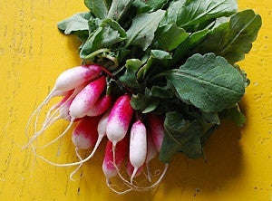 French Breakfast Radish - Vegetable - Raphanus Sativus - 100 Seeds