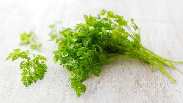 Chervil - Anthriscus cerefolium - Herb - 400 Seeds