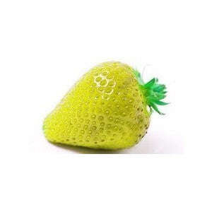 Alpine Yellow Strawberry - Fragaria Vesca - Fruit - 5 Seeds