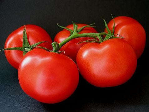 Ace 55 Tomato - Heirloom Vegetable - 50 Seeds