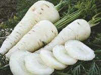 Snow White Carrot - Heirloom Vegetable - 100 Seeds