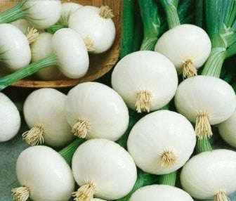 Crystal White Wax Pickling Onion - Heirloom Vegetable - 20 Seeds