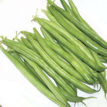 Contender Beans - ORGANIC - Heirloom Vegetable - 10 Seeds