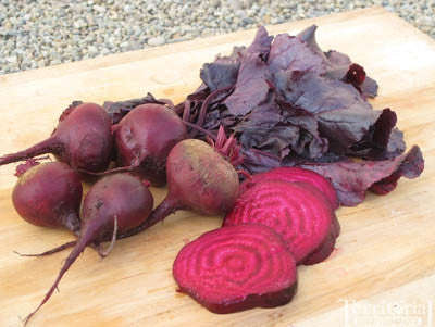 Bulls Blood Beetroot - Heirloom Vegetable - 50 Seeds