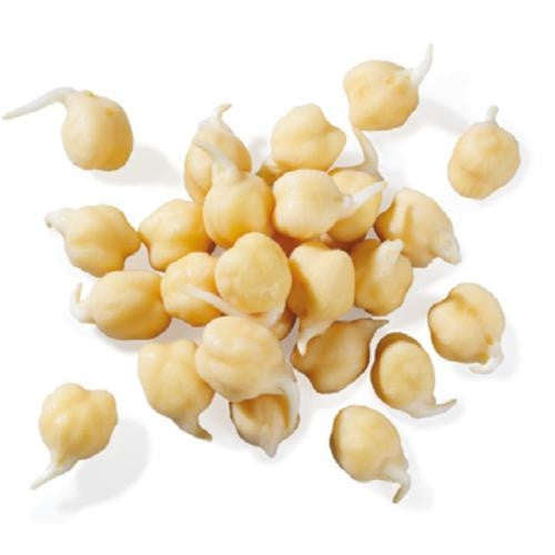 White Chickpea - ORGANIC - Sprouting Seeds - 100 gram