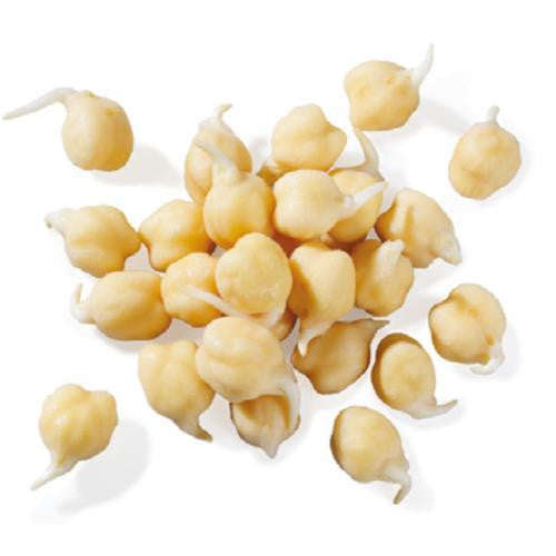 White Chickpea - ORGANIC - Sprouting Seeds - 100 gram