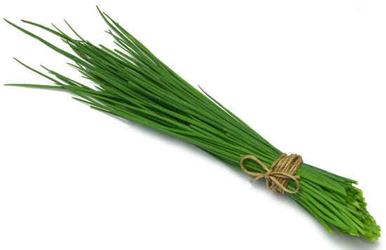 Chives - Bulk Herb Seeds - 10 grams