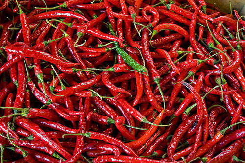 Cayenne Chilli Pepper - Bulk Vegetable Seeds - 20 grams