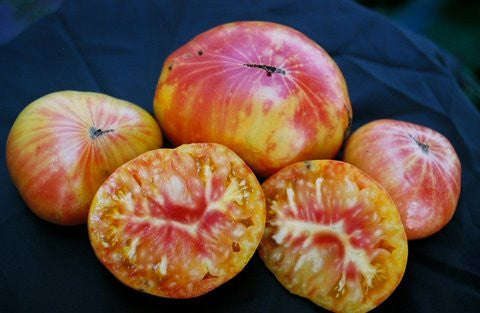 Pineapple Tomato - Bulk Vegetable Seeds - 200 seeds