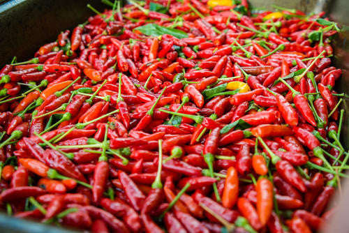 Birds Eye Chilli Pepper - Bulk Vegetable Seeds - 20 gram