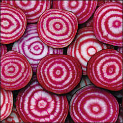 Chioggia Beetroot - ORGANIC - Heirloom Vegetable - 50 Seeds