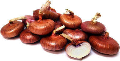 Red Cippolini Onion - ORGANIC - Heirloom Vegetable - 50 Seeds