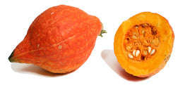 Golden Hubbard Squash - ORGANIC - Heirloom Vegetable - 5 Seeds