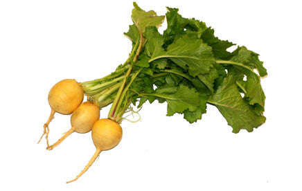 Goldie Turnip - ORGANIC - Heirloom Vegetable - 250 Seeds