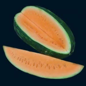 Orange Tendersweet Watermelon - ORGANIC - Heirloom Vegetable - 5 Seeds