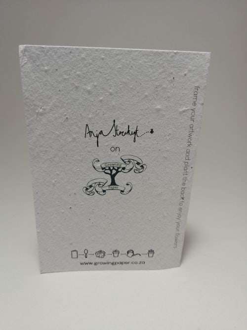 Growing Paper - Greeting Card - Croc