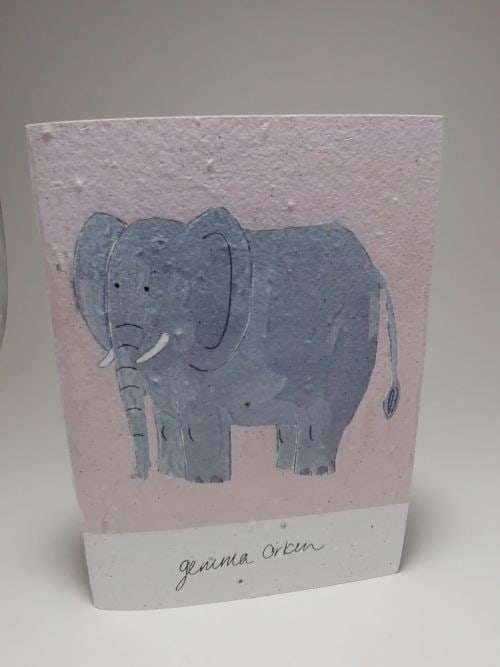 Growing Paper - Note Book - Elephant