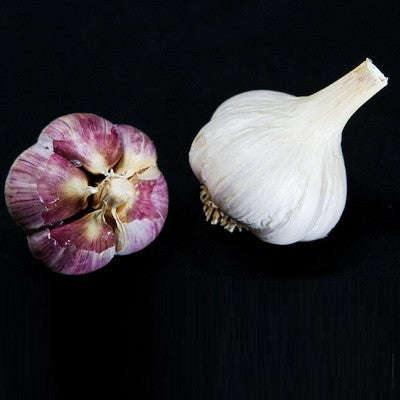 Leningrad Garlic - Heirloom Garlic - 2 heads - Approx 10 Cloves (seeds) Leningrad Garlic