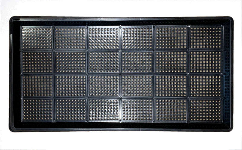 3cm Flat Black Plastic Reuseable Seed Tray / ... - 3cm Microgreen Full Mesh Bottomed Tray - 10 Trays