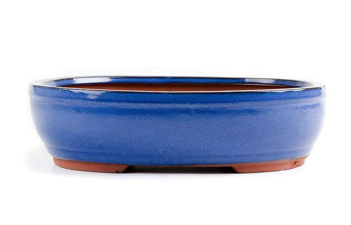 25cm x 20cm x 8cm - Glazed Bonsai Container - Blue