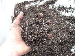 Specially Formulated Bonsai Soil - 5 liter