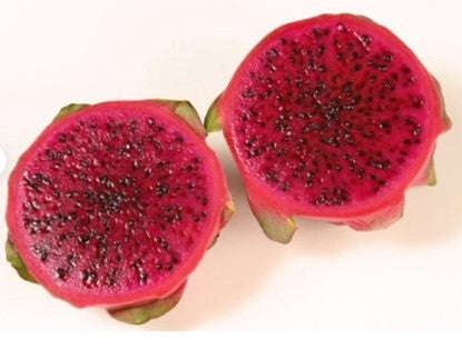 Dragon Fruit / Pitaya / Costa Rican Sunset  Hylocereus Costaricencis hybrid - 10 seeds