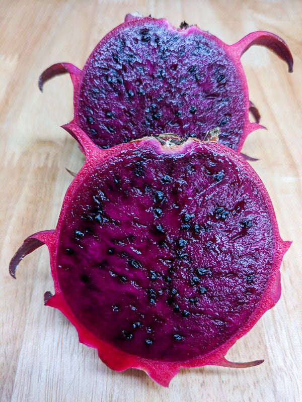 Red Flesh Pitaya "Red Jaina" - Dragon Fruit - Hylocereus polyrhizus - Exotic Succulent Fruit - 10...