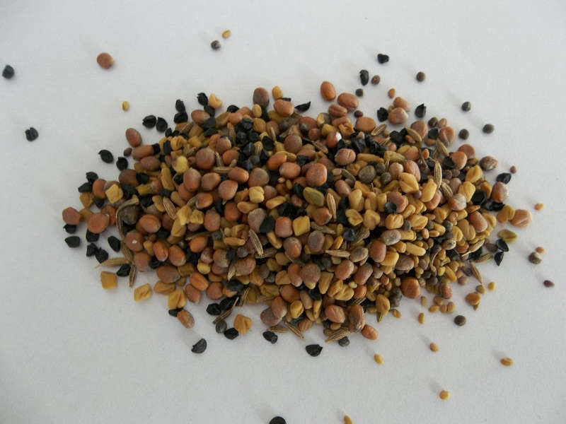 French Salad Mix - Sprouting Seeds - 1kg