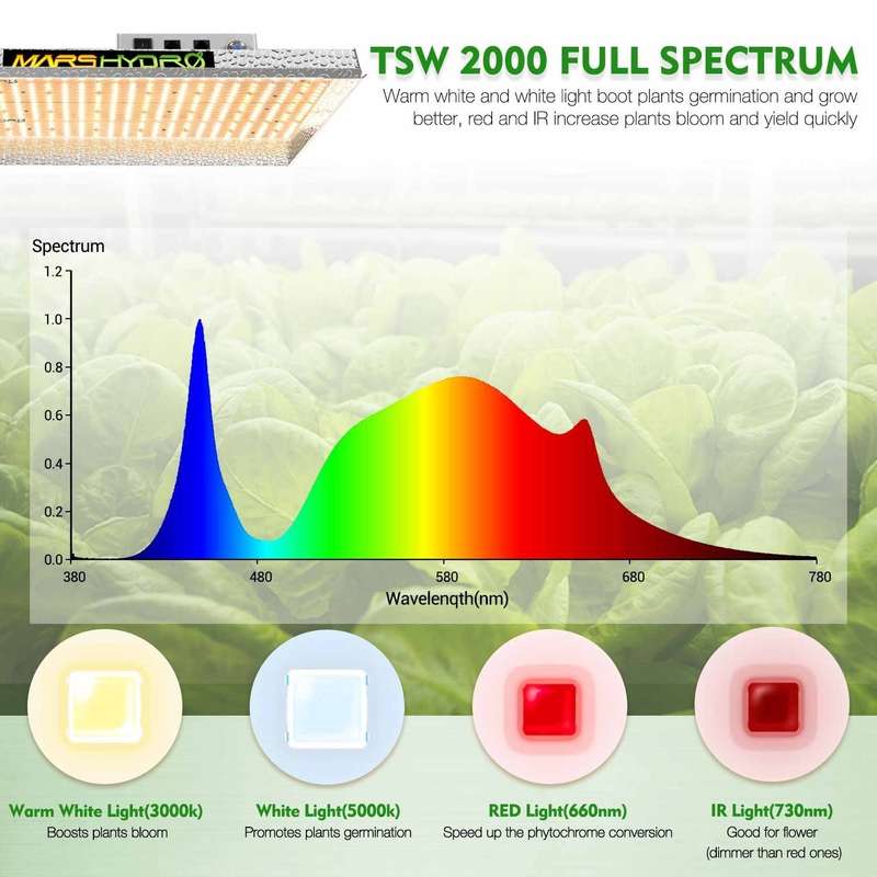 Mars Hydro TSW-2000 300W Full Spectrum LED Grow Light - Hydr... - Mars Hydro TSW-2000 LED Grow Light
