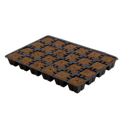 EazyPlug Plugs - Seedling / Cutting Trays with Plugs - EazyPlug Plugs - Tray with 24 Plugs