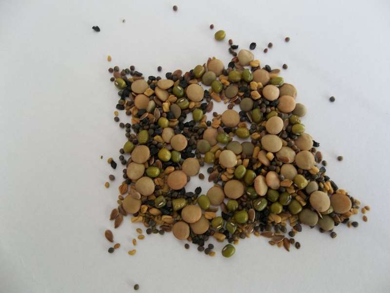 Health Salad Mix - Sprouting Seeds - 100 gram