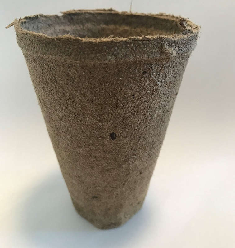 Jiffy Professional Peat Pots - 11.5cm x 8cm Tall Pots - Pack of 10 Pots